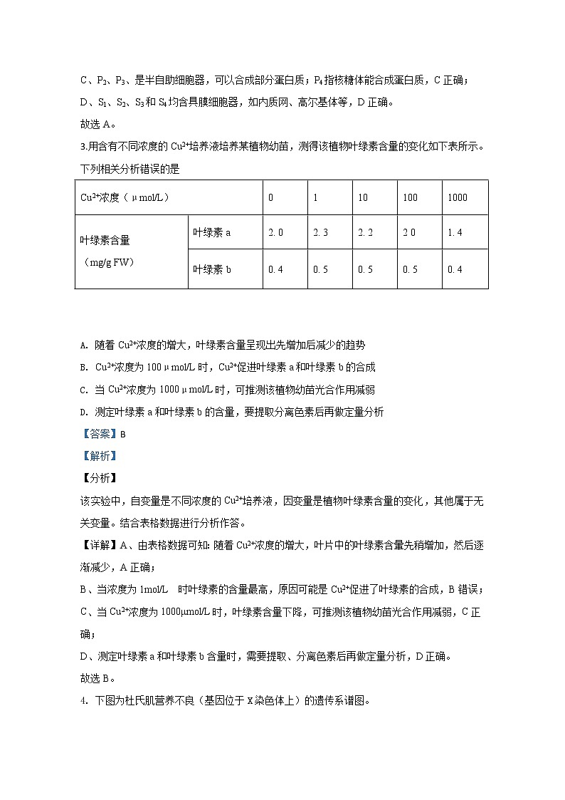 北京市海淀区人大附中2020届高三下学期开学考试生物试题03