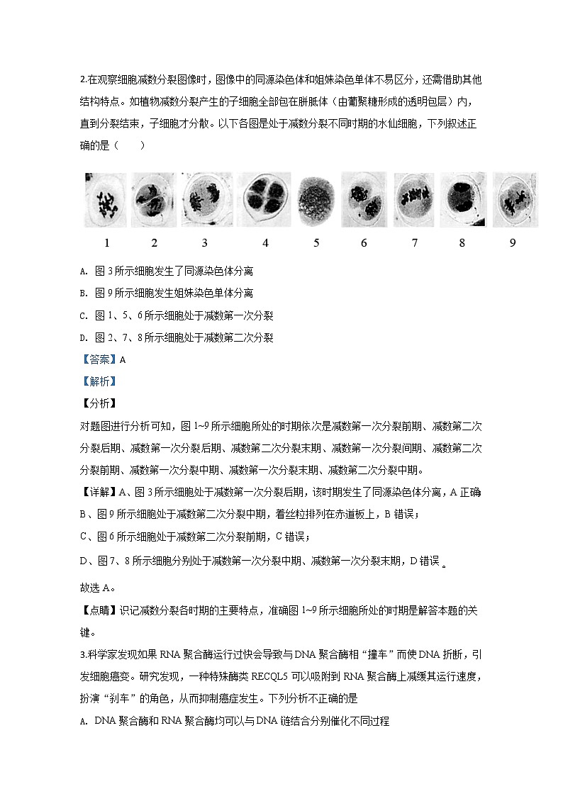 北京市十三中2020届高三下学期开学测试生物试题02