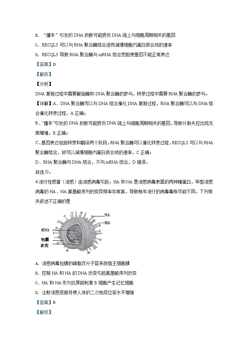 北京市十三中2020届高三下学期开学测试生物试题03