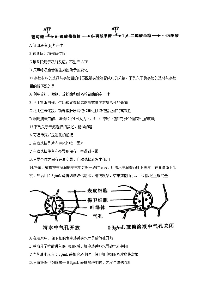 浙江省金华十校2020届高三4月模拟考试生物试题03