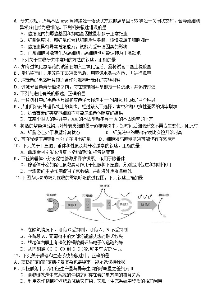 浙江省七彩阳光2020届高三下学期4月高考模拟生物试题02