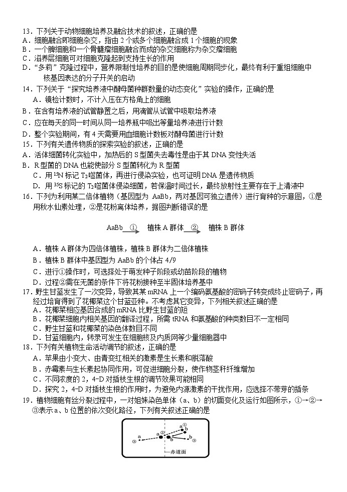 浙江省七彩阳光2020届高三下学期4月高考模拟生物试题03