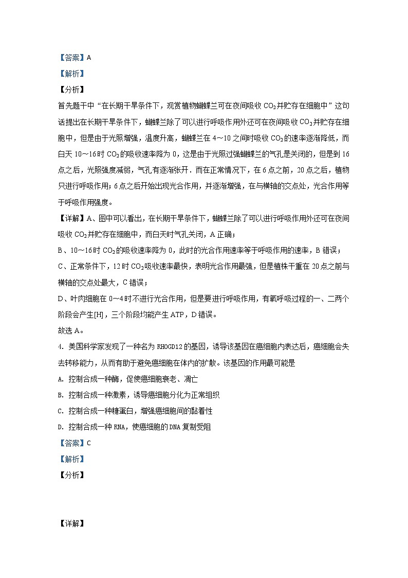 山东省泰安市2020届高三下学期模拟试题生物试题03