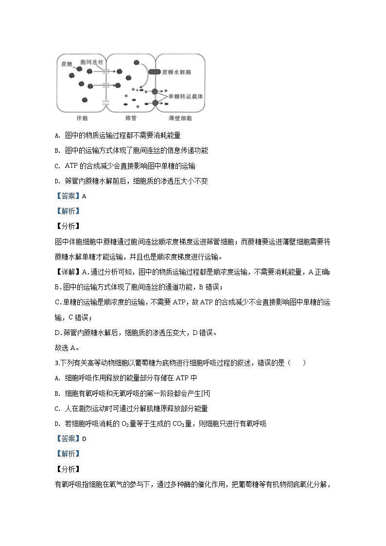 山东省济南市二中2020届高三3月模拟考试生物试题02