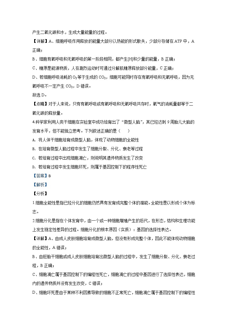 山东省济南市二中2020届高三3月模拟考试生物试题03