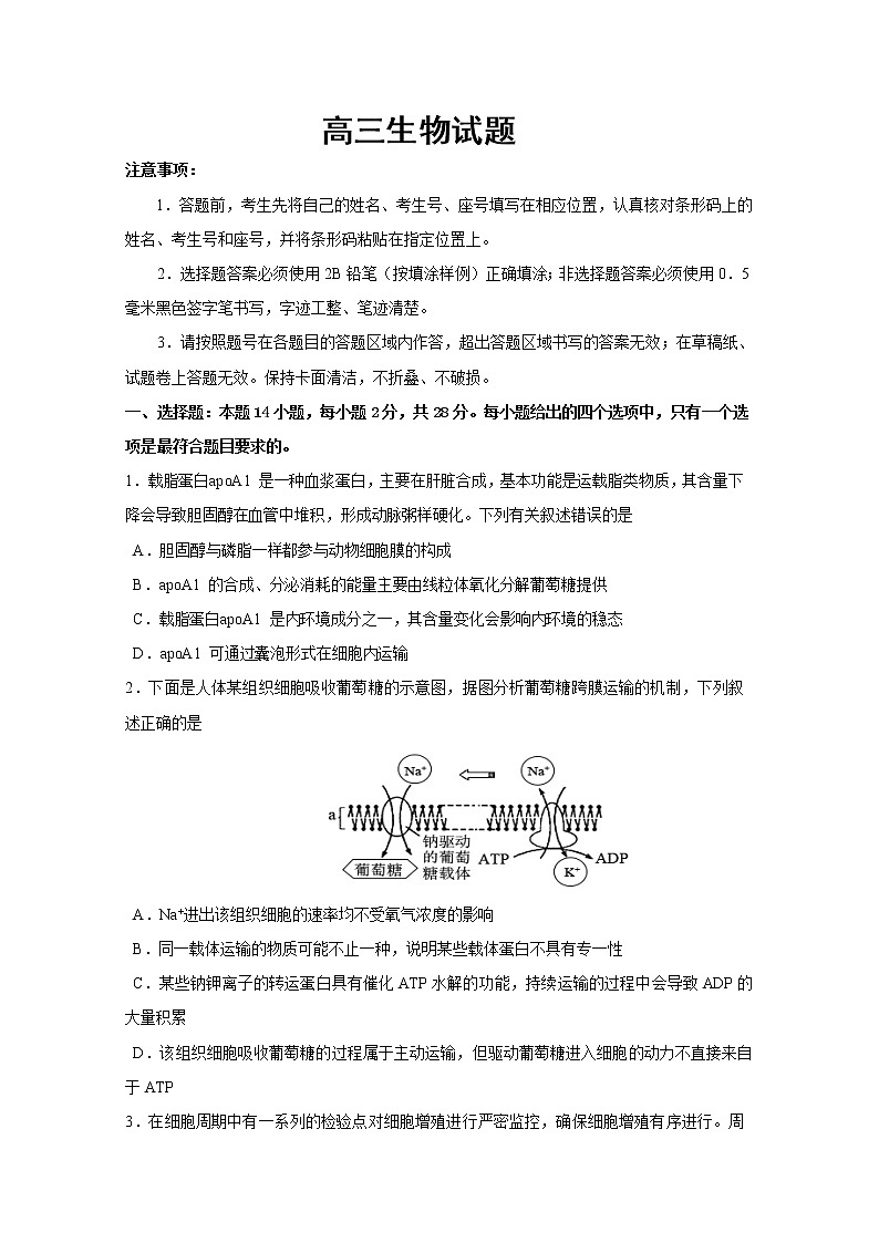 山东省潍坊高密市2020届高三模拟生物试题二01