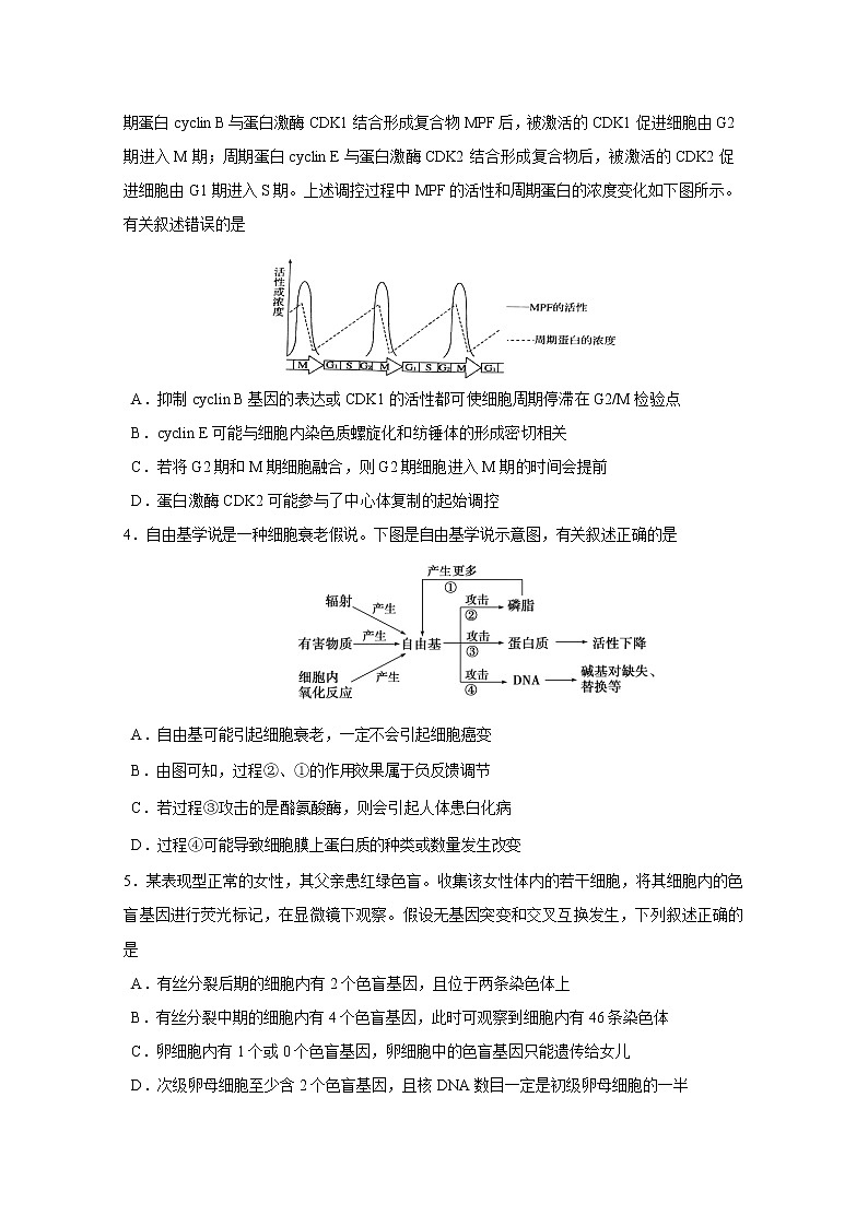 山东省潍坊高密市2020届高三模拟生物试题二02