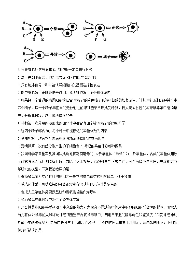 山东省潍坊市2020届高三高考模拟考试生物试题02