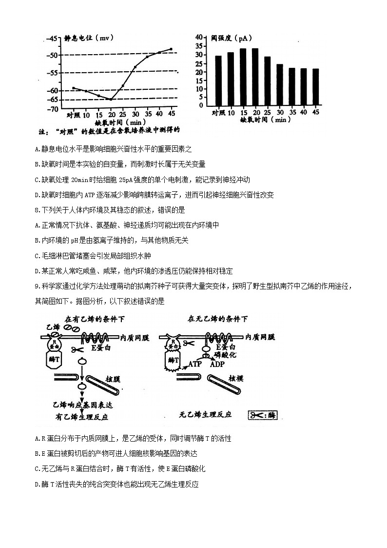 山东省潍坊市2020届高三高考模拟考试生物试题03