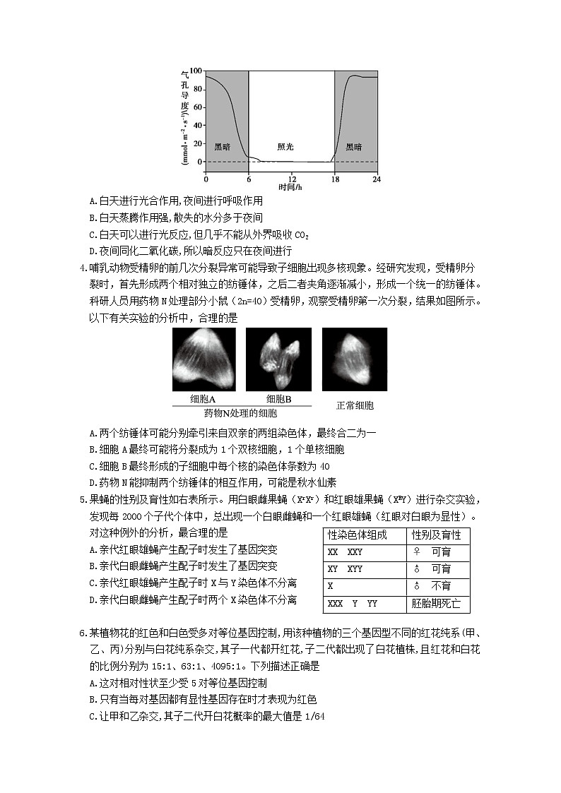 山东省潍坊市昌乐县2020届高三4月高考模拟生物试题02