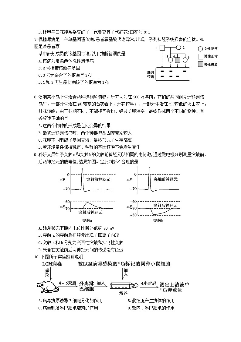 山东省潍坊市昌乐县2020届高三4月高考模拟生物试题03