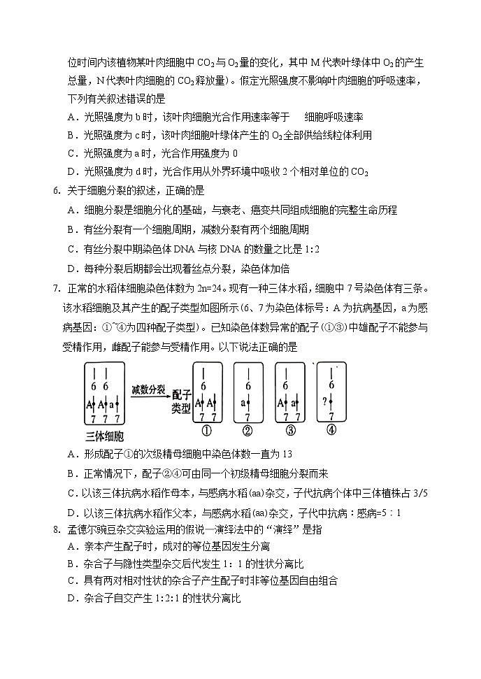 山东省潍坊市临朐县2020届高三下学期综合模拟考试生物试题（二）02