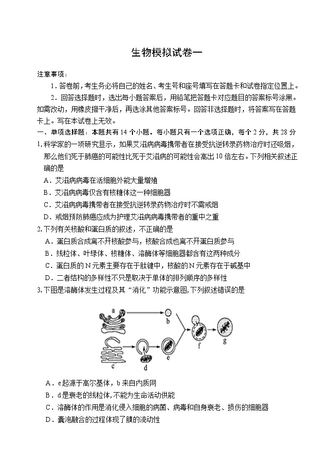 山东省潍坊市临朐县2020届高三下学期综合模拟考试生物试题（一）01