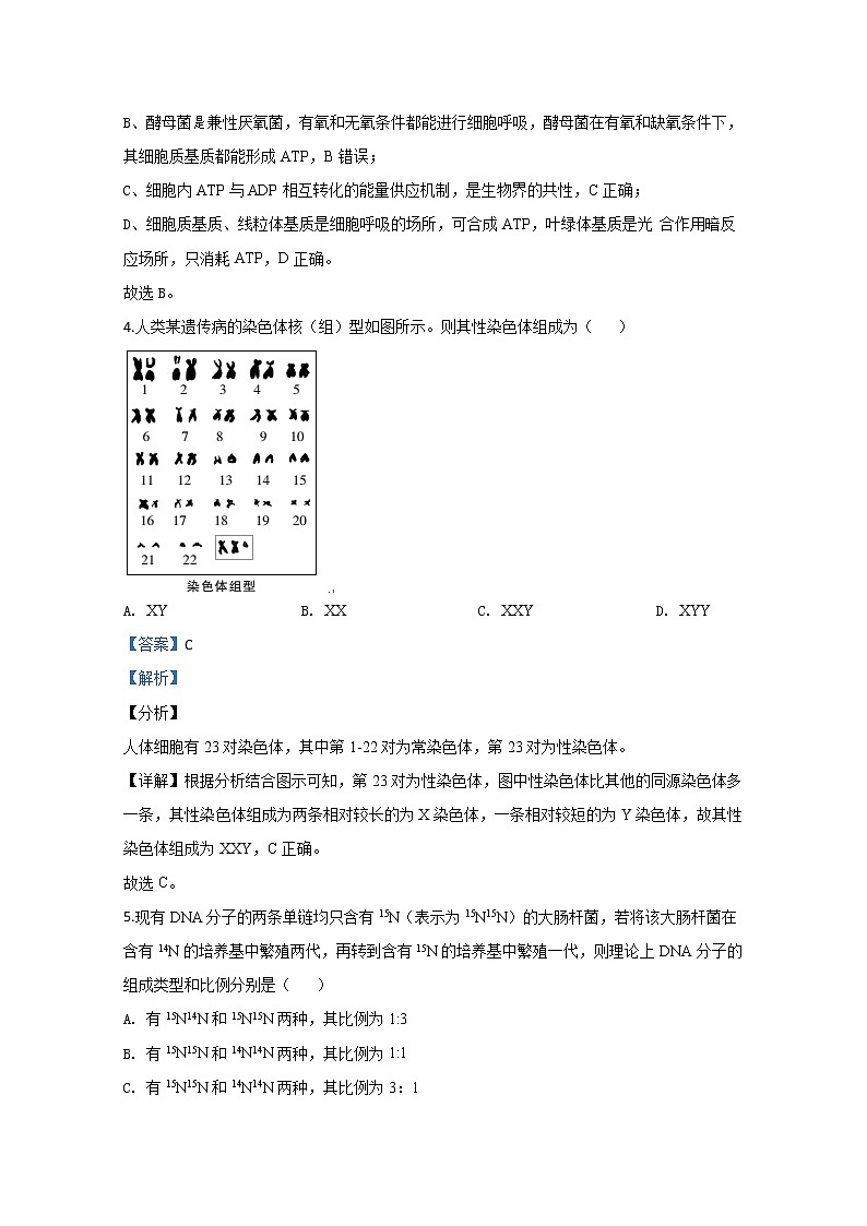 山东省新高考2020届高三最新模拟卷二生物试题03