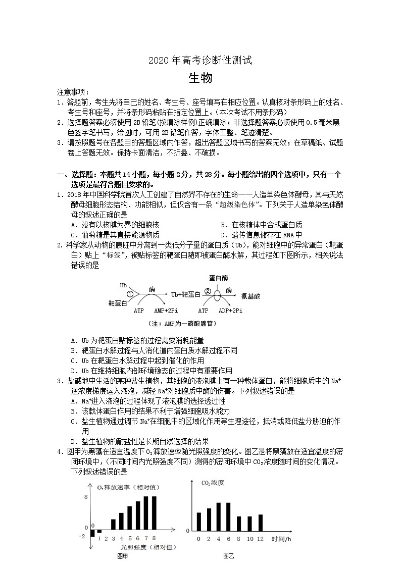山东省烟台市2020届高三4月模拟考试生物试题01