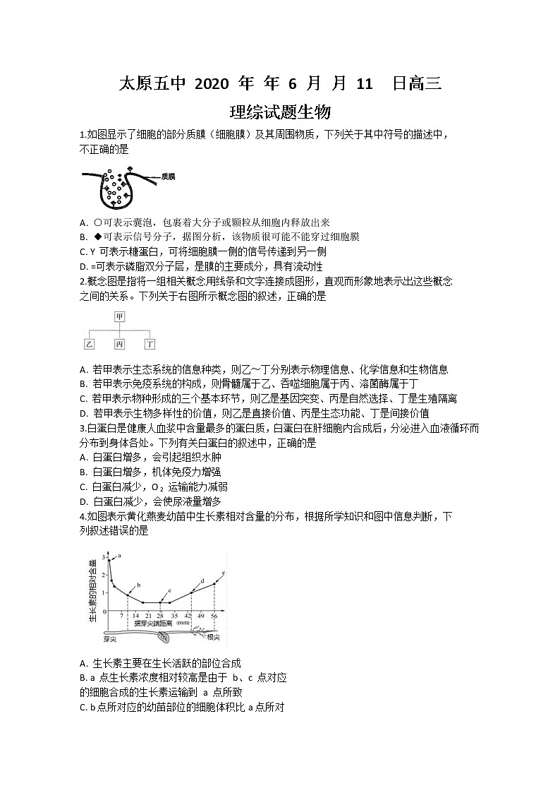 山西省太原市第五中学2020届高三6月模拟考试生物试题01