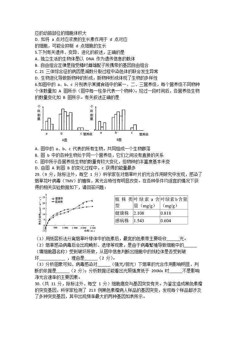 山西省太原市第五中学2020届高三6月模拟考试生物试题02