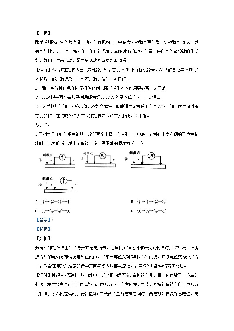 陕西省宝鸡中学2020届高三第一次模拟考试生物试题02