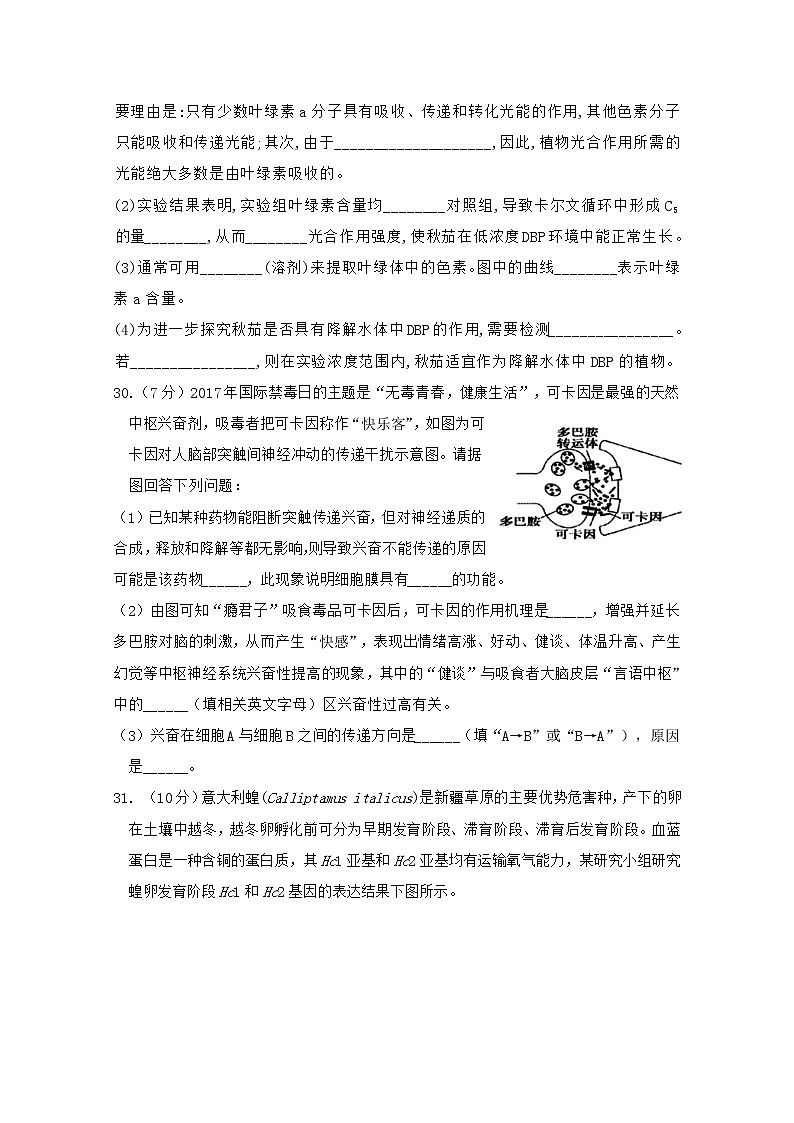 陕西省洛南中学2020届高三第十次模拟理综-生物试题03