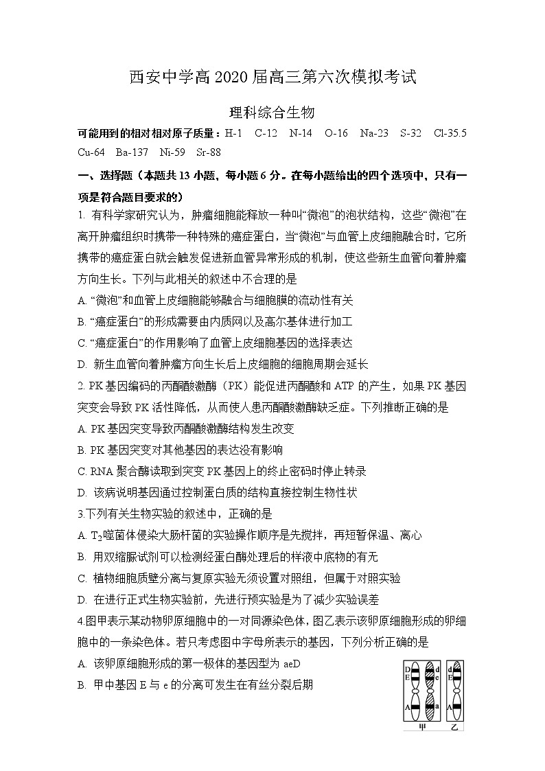 陕西省西安中学2020届高三第六次模拟考试生物试题01