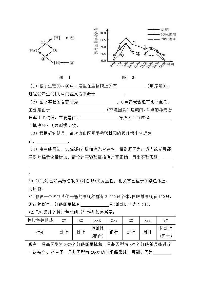 陕西省西安中学2020届高三第三次模拟考试生物试题03