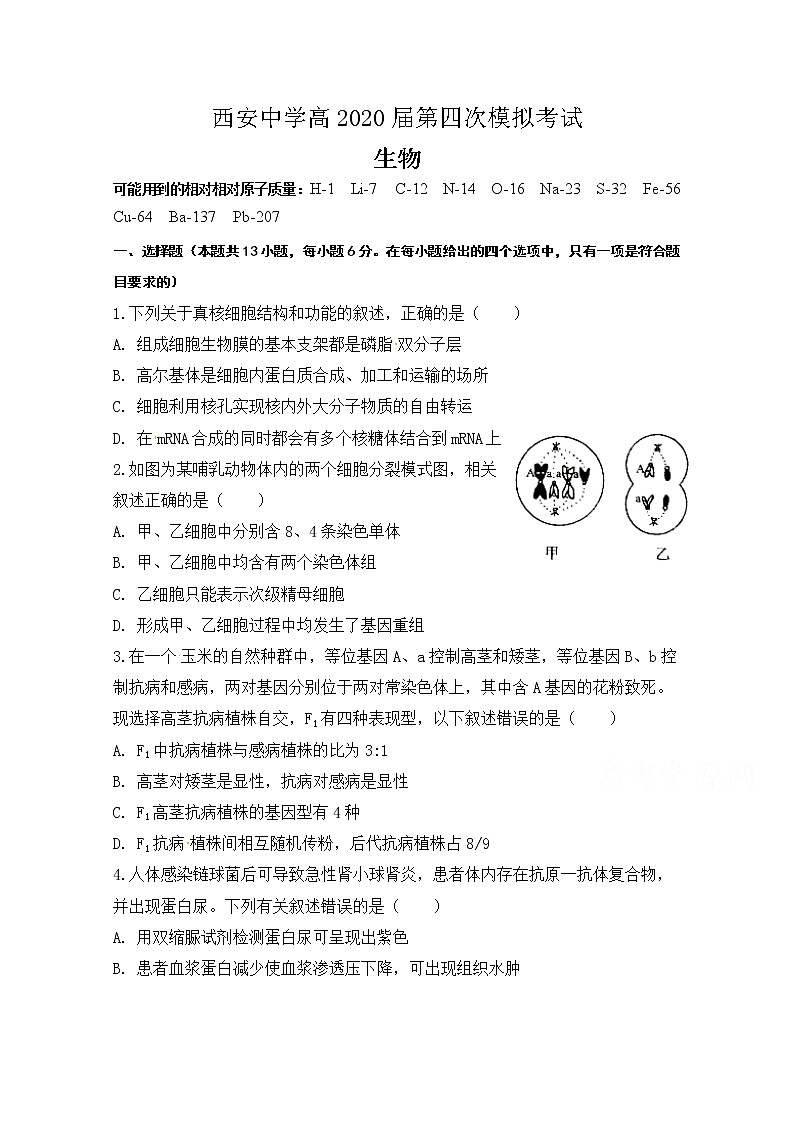 陕西省西安中学2020届高三第四次模拟考试生物试题01