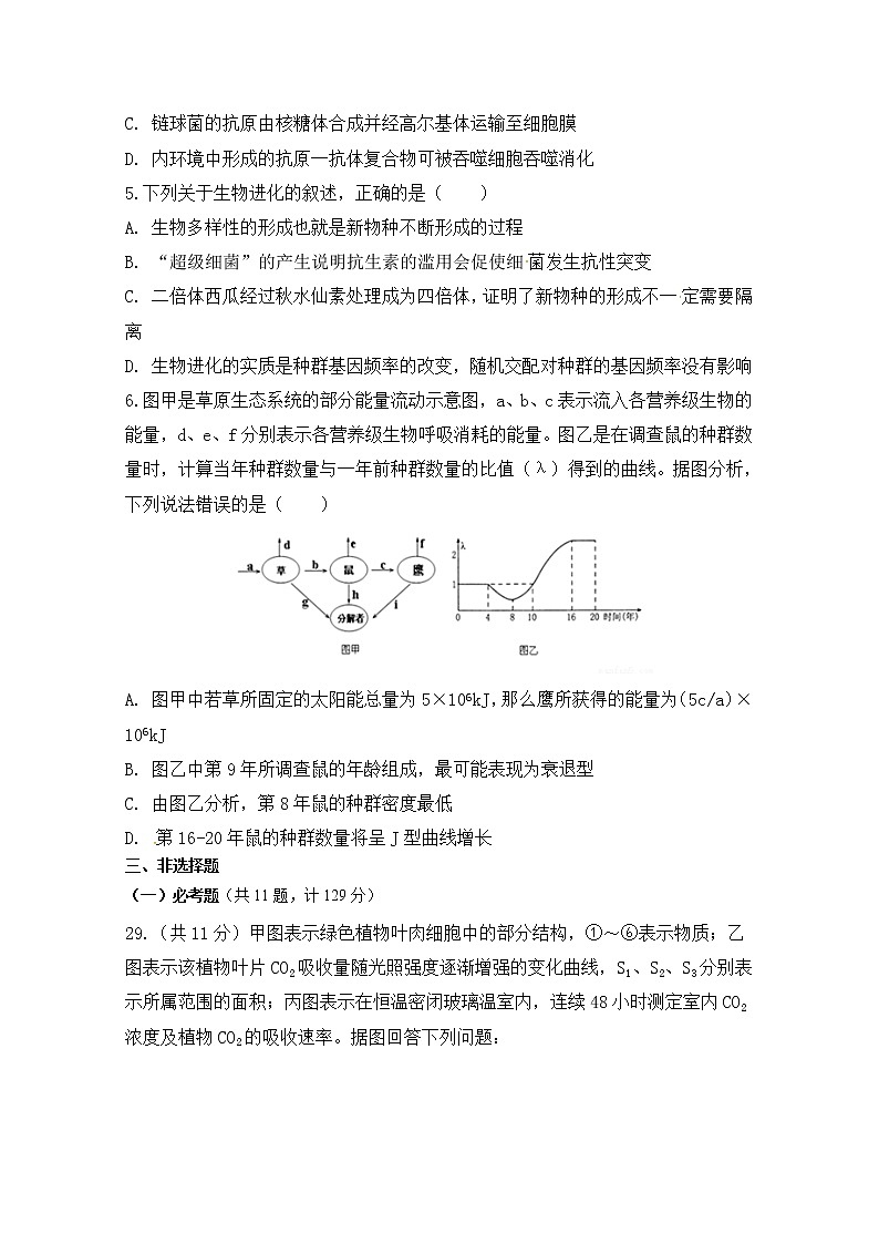 陕西省西安中学2020届高三第四次模拟考试生物试题02
