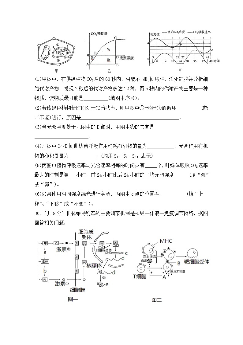陕西省西安中学2020届高三第四次模拟考试生物试题03