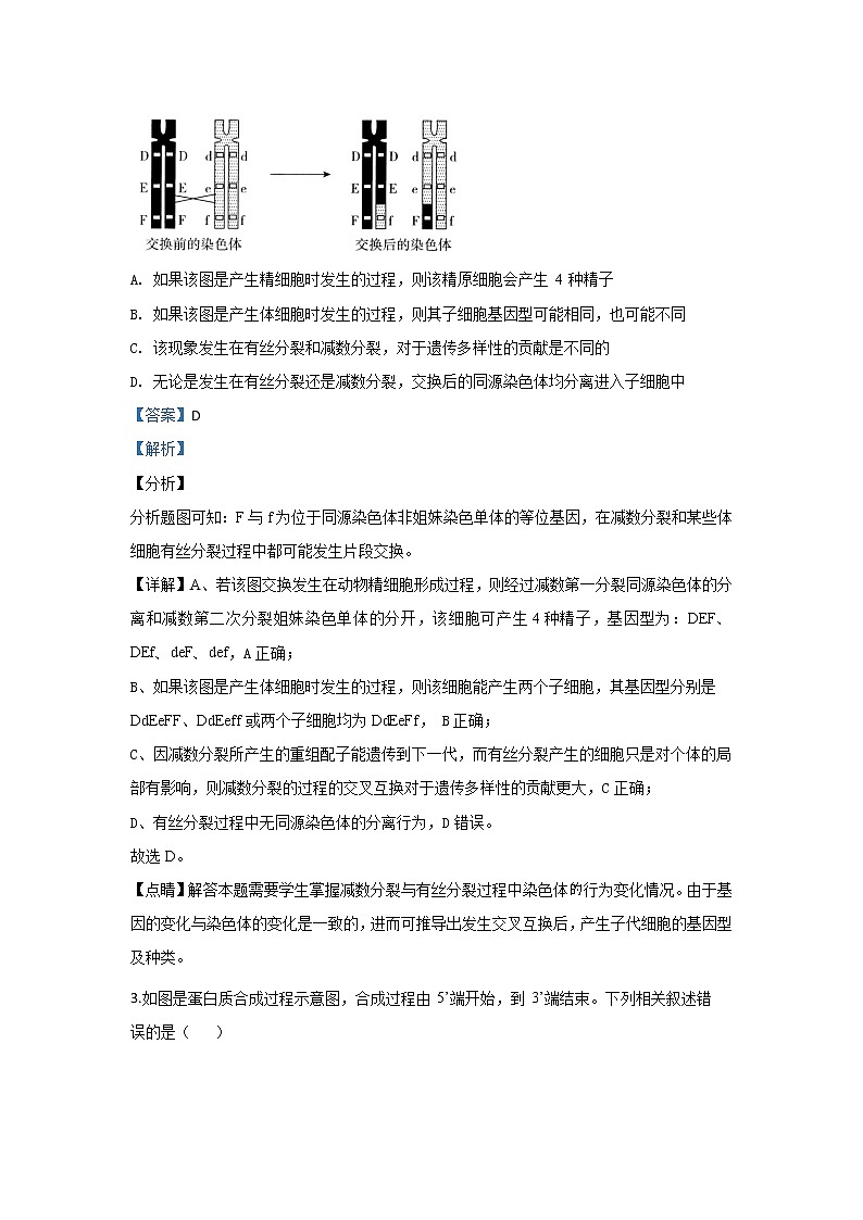 陕西省西安中学2020届高三上学期模拟考试生物试题02