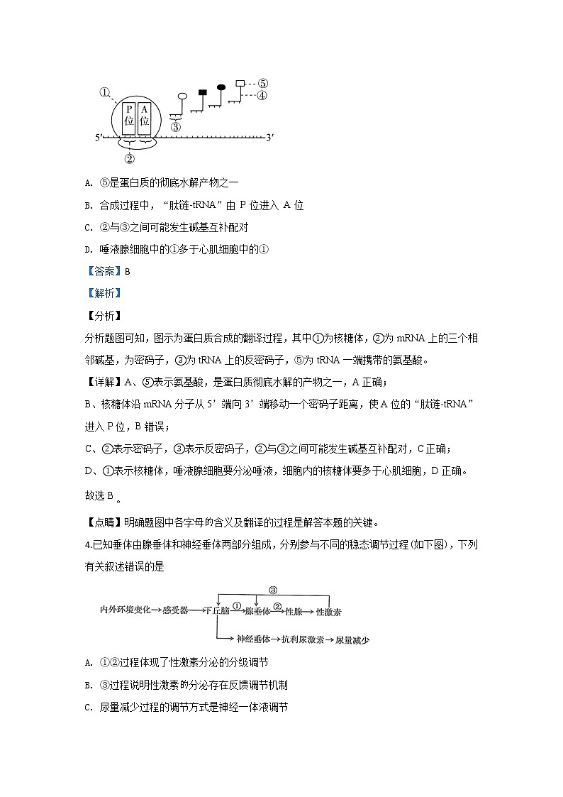 陕西省西安中学2020届高三上学期模拟考试生物试题03