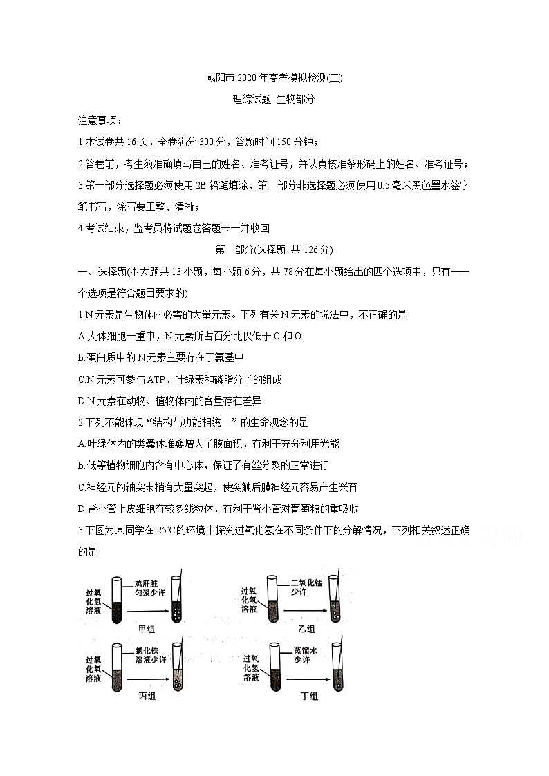 陕西省咸阳市2020届高三高考模拟检测检测（二） 生物第1页