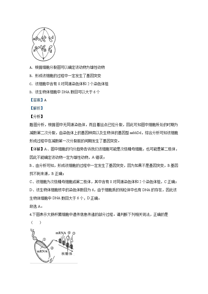 陕西省榆林市2020届高三第三次模拟生物试题03