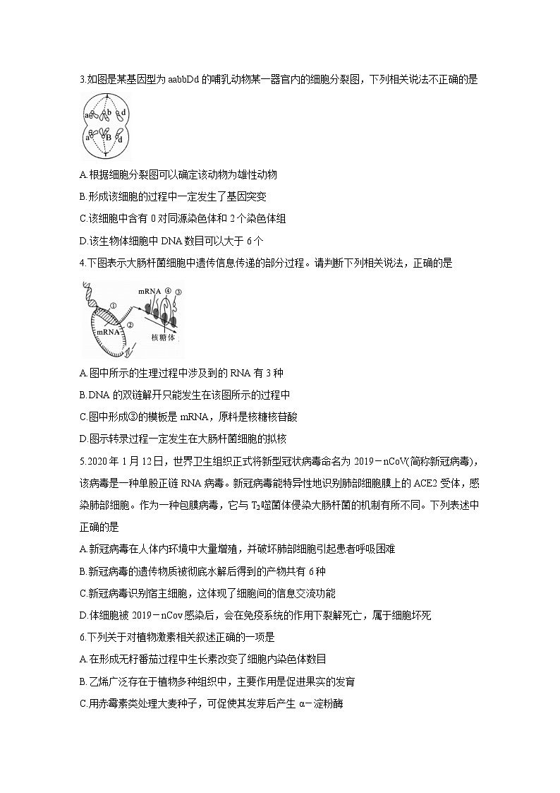 陕西省榆林市2020届高三高考模拟第三次测试　生物02