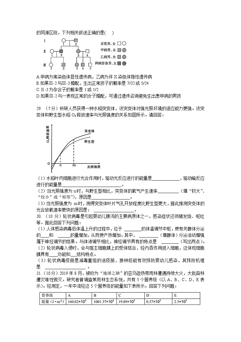 四川省成都市石室中学2020届高三下学期二诊模拟考试生物试题02