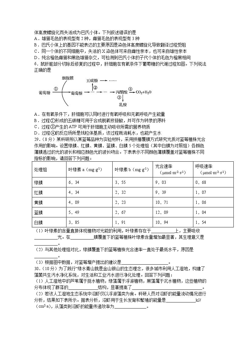 四川省泸县第四中学2020届高三下学期高考适应性考试理综-生物试题02