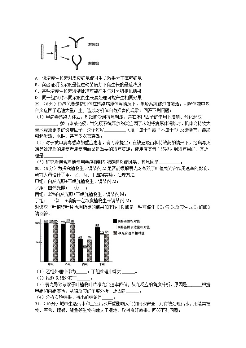 四川省泸县第一中学2020届高三下学期高考适应性考试理综-生物试题02