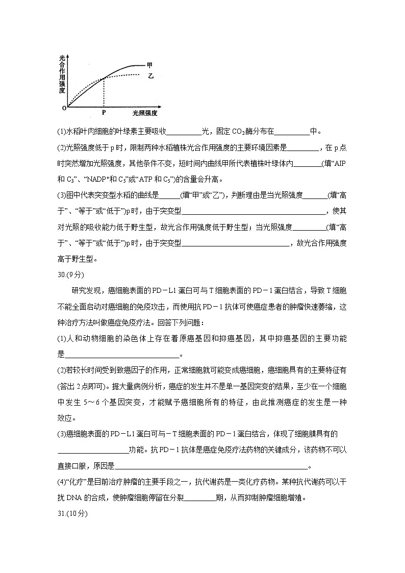 四川省内江市高中2020届高三上学期第一次模拟考试 生物03