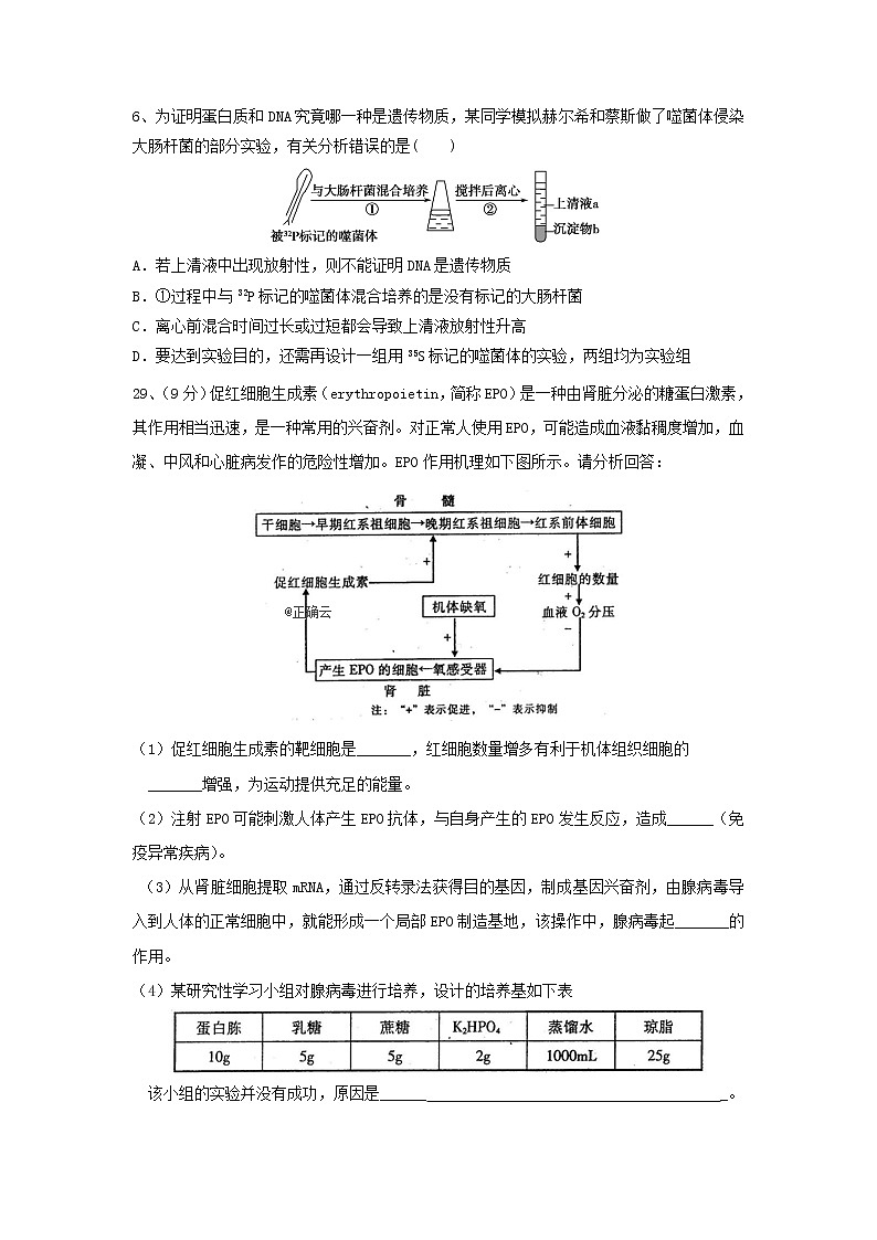 四川省三台县芦溪中学2020届高三上学期二诊考前模拟生物试卷02