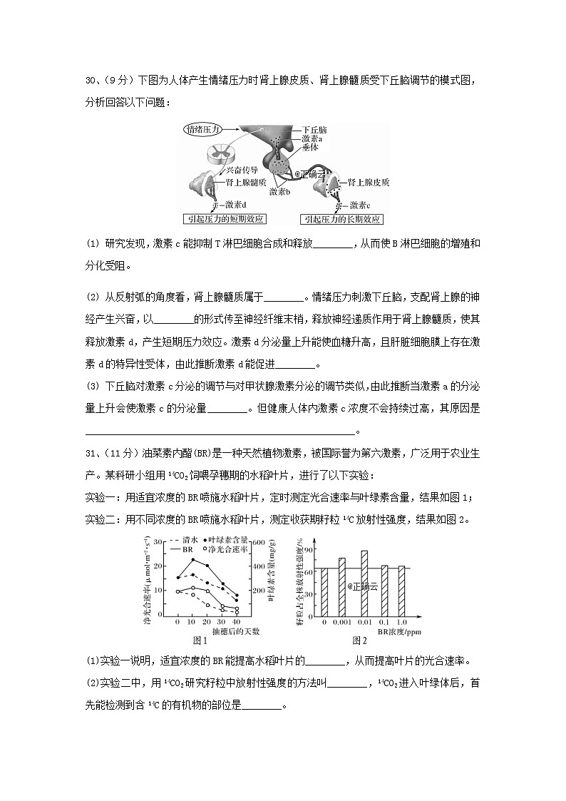 四川省三台县芦溪中学2020届高三上学期二诊考前模拟生物试卷03