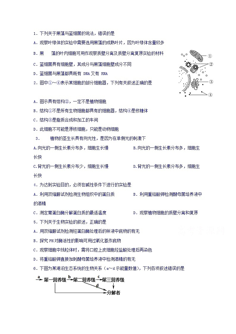 四川省宜宾市第四中学2020届高三一诊模拟生物试题01