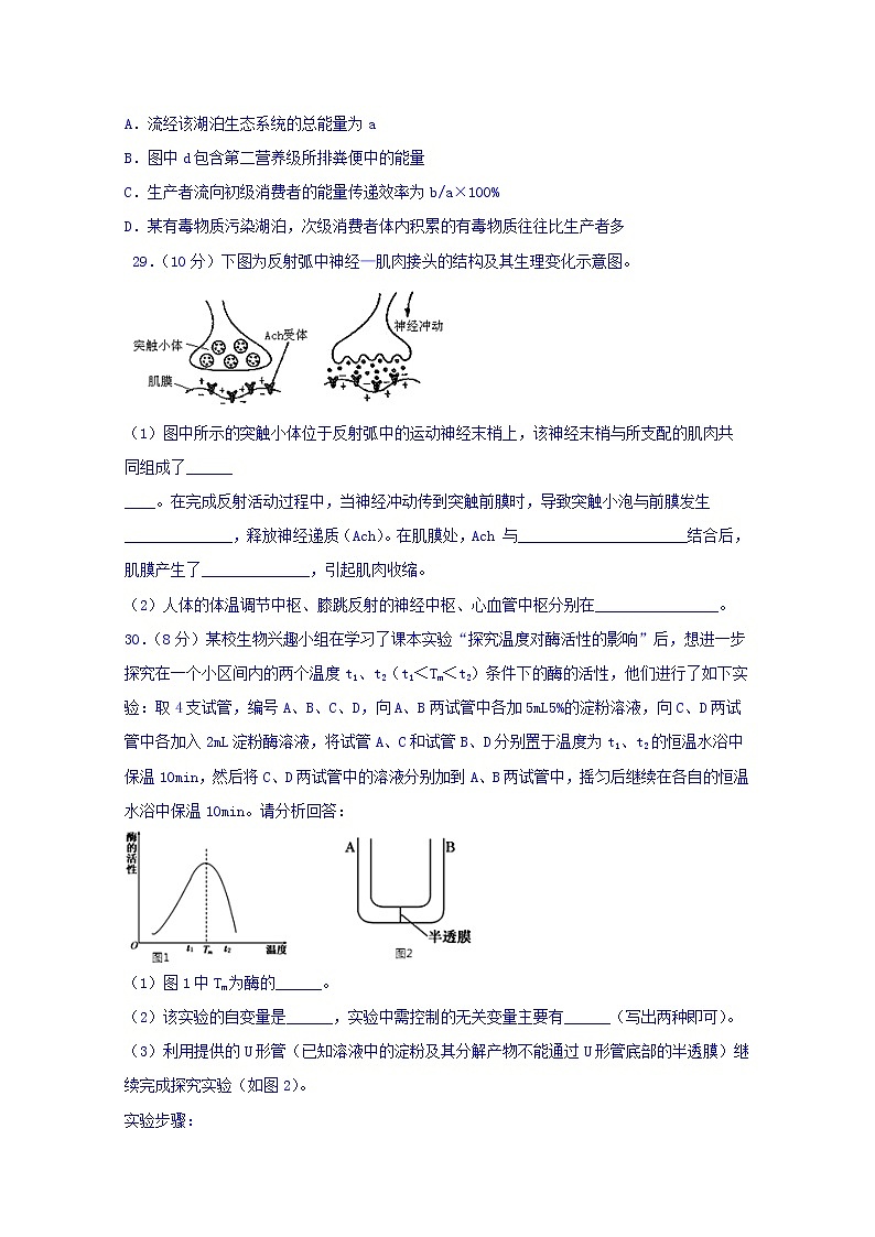 四川省宜宾市第四中学2020届高三一诊模拟生物试题02