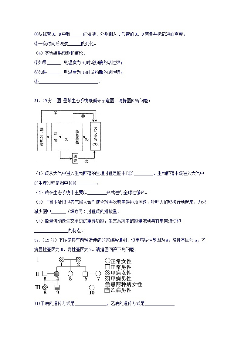 四川省宜宾市第四中学2020届高三一诊模拟生物试题03