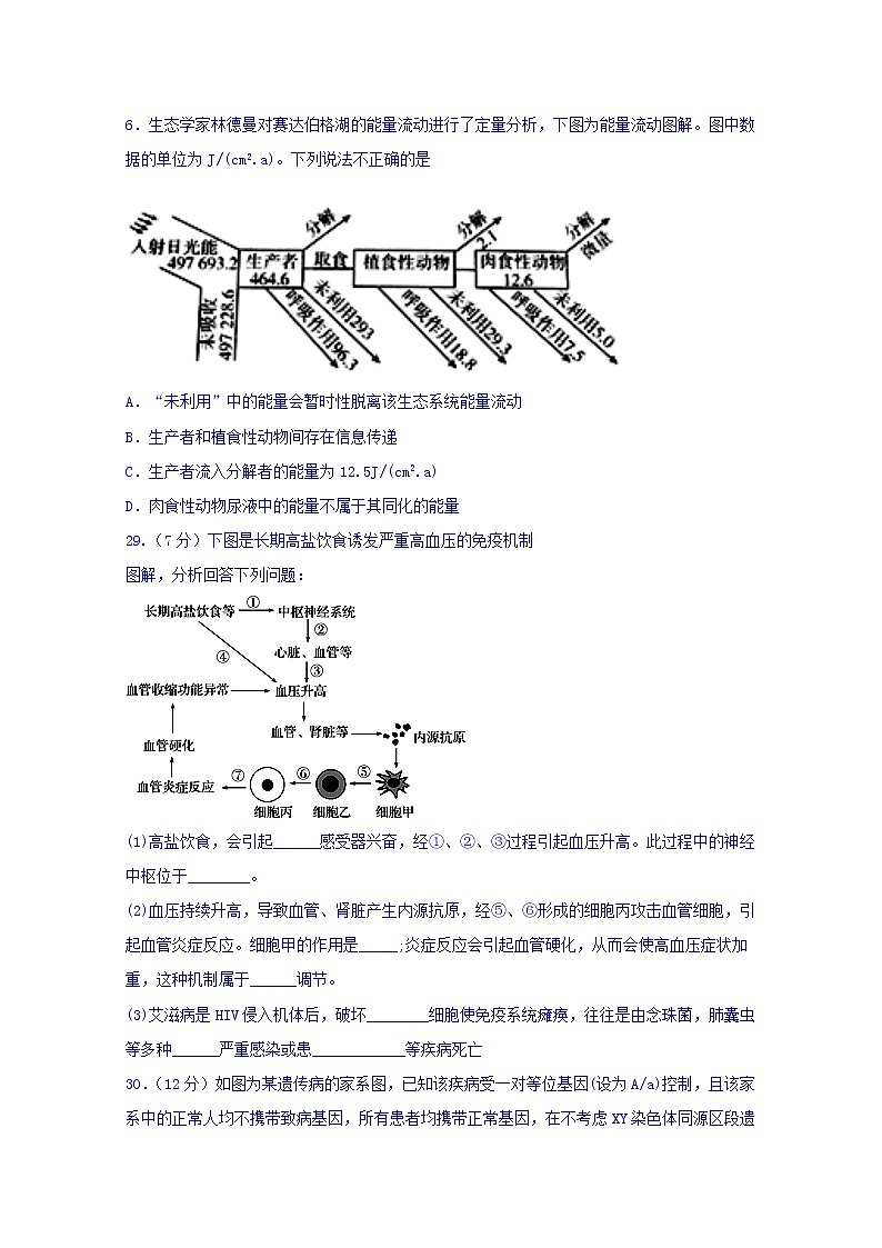 四川省宜宾市叙州区第一中学2020届高三一诊模拟生物试题02