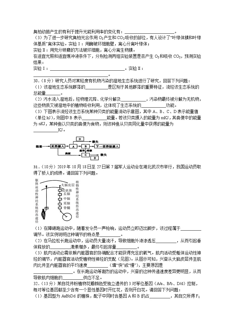 四川省宜宾市叙州区第一中学校2020届高三第一次高考适应性考试理综-生物试题第2页