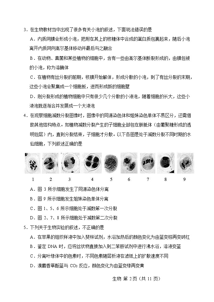天津市滨海新区塘沽第一中学2020届高三毕业班模拟生物试题02