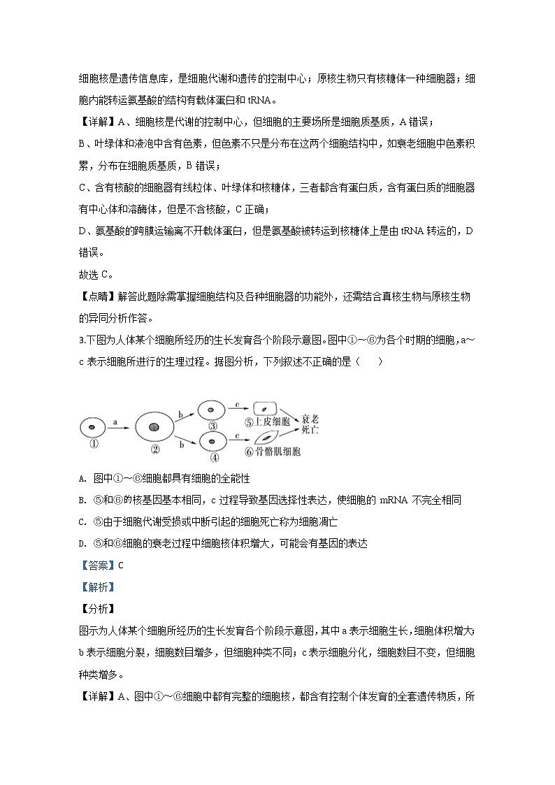 天津市滨海新区塘沽一中2020届高三下学期模拟考试生物试题02