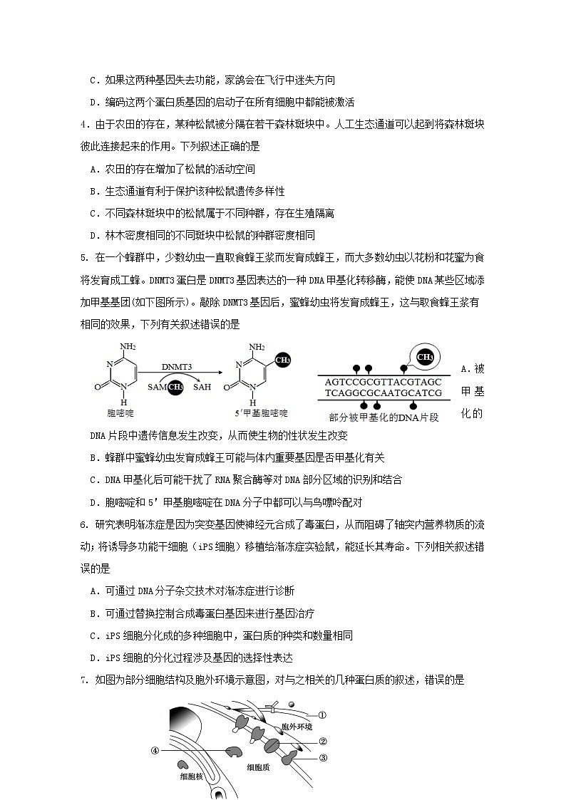 天津市红桥区2020届高三第一次模拟考试生物试题02