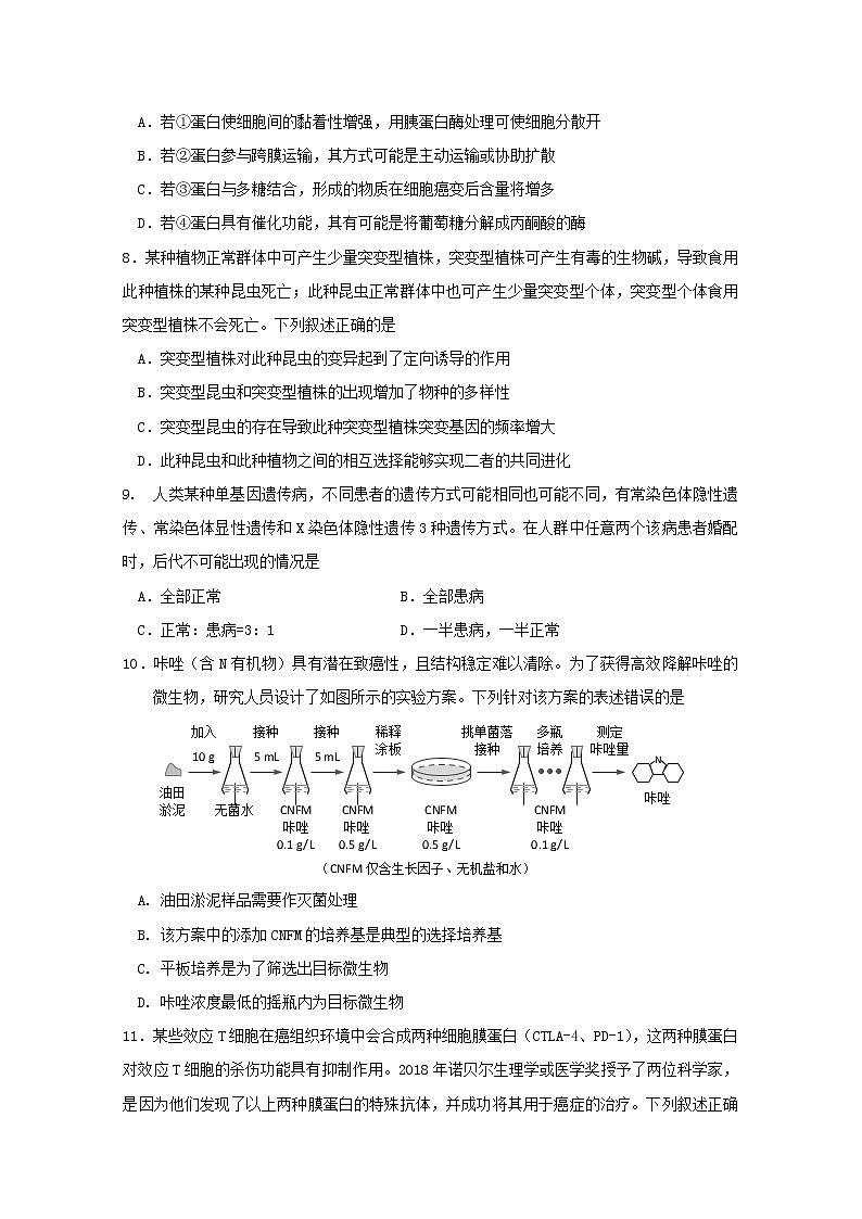 天津市红桥区2020届高三第一次模拟考试生物试题03