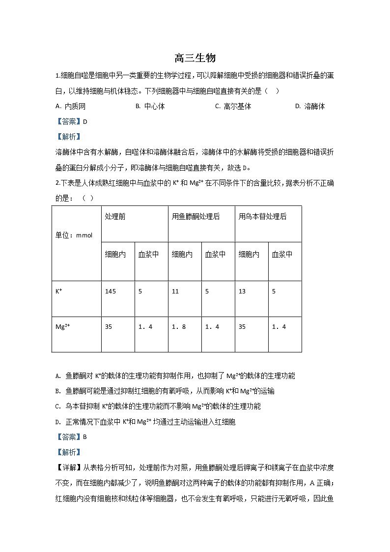 天津市红桥区2020届高三第一次模拟生物试题01