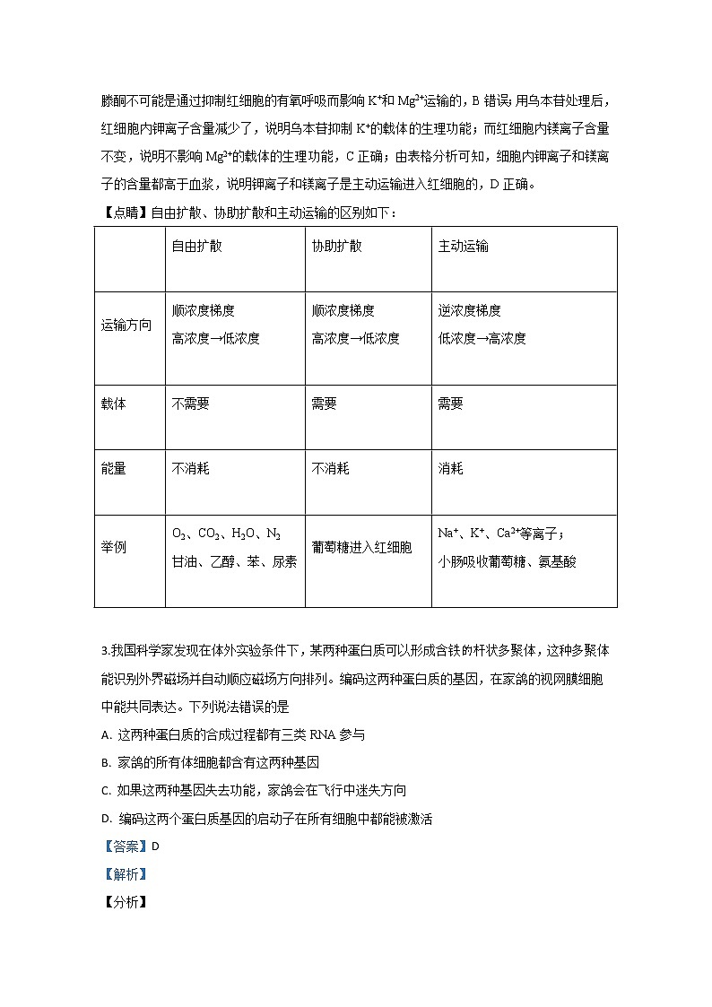天津市红桥区2020届高三第一次模拟生物试题02